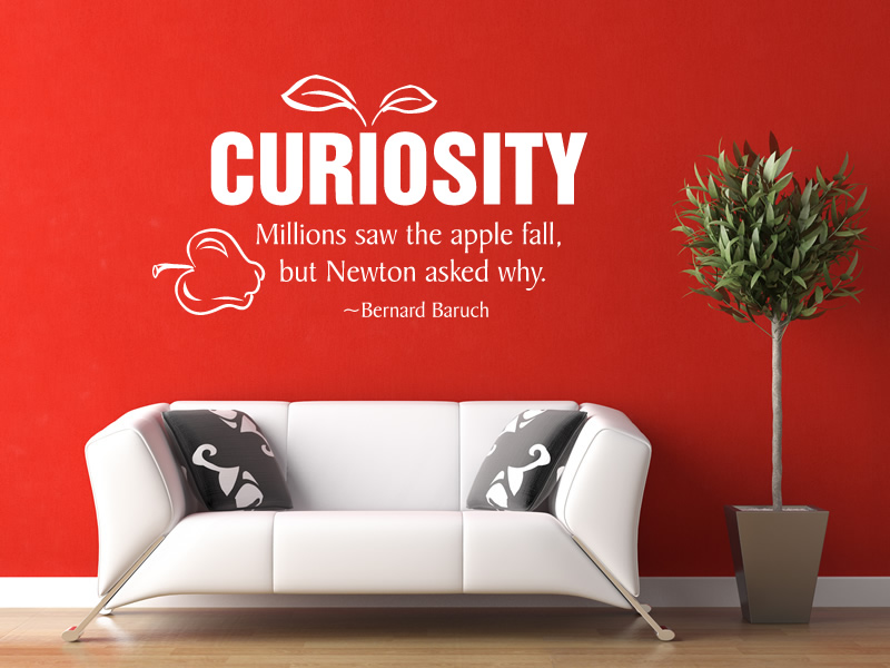 Curiosity-Quotes-28