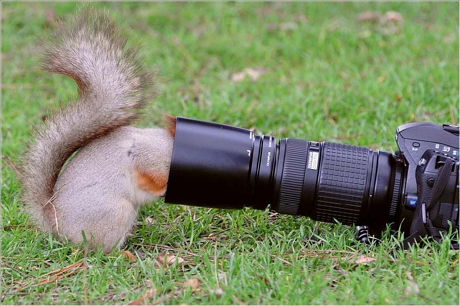 penasaran-keingintahuan